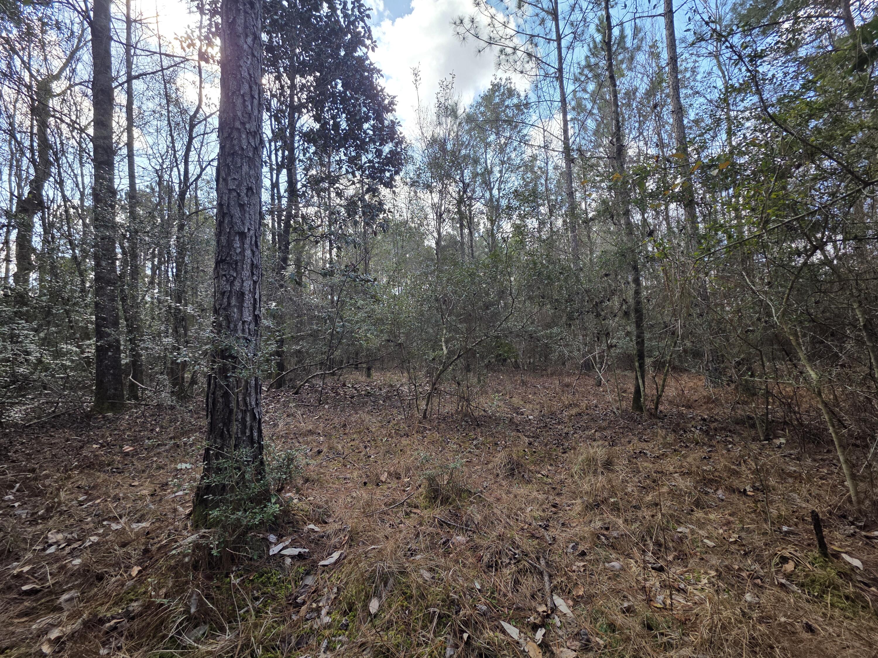 METES & BOUNDS - Farm