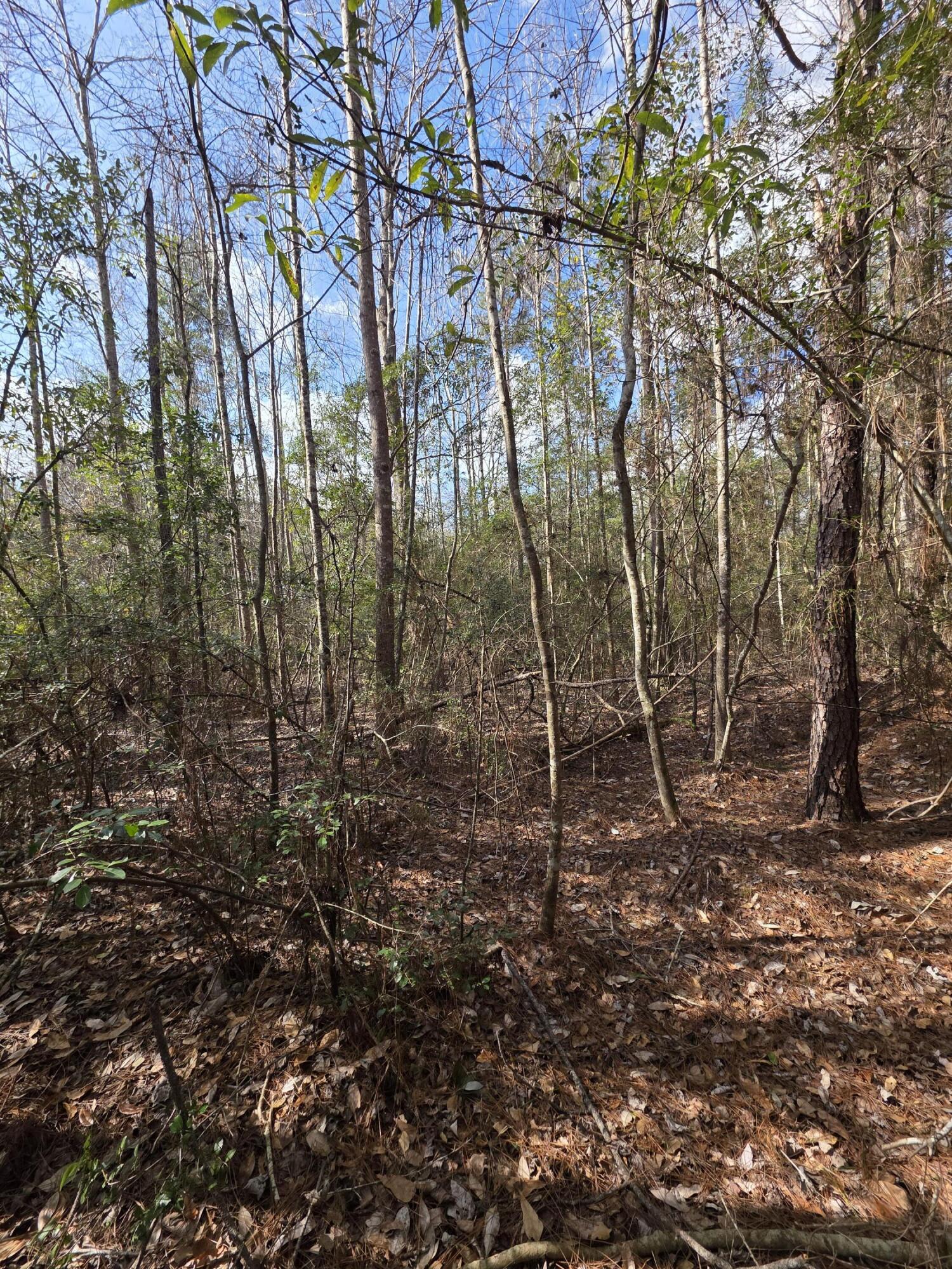 METES & BOUNDS - Farm