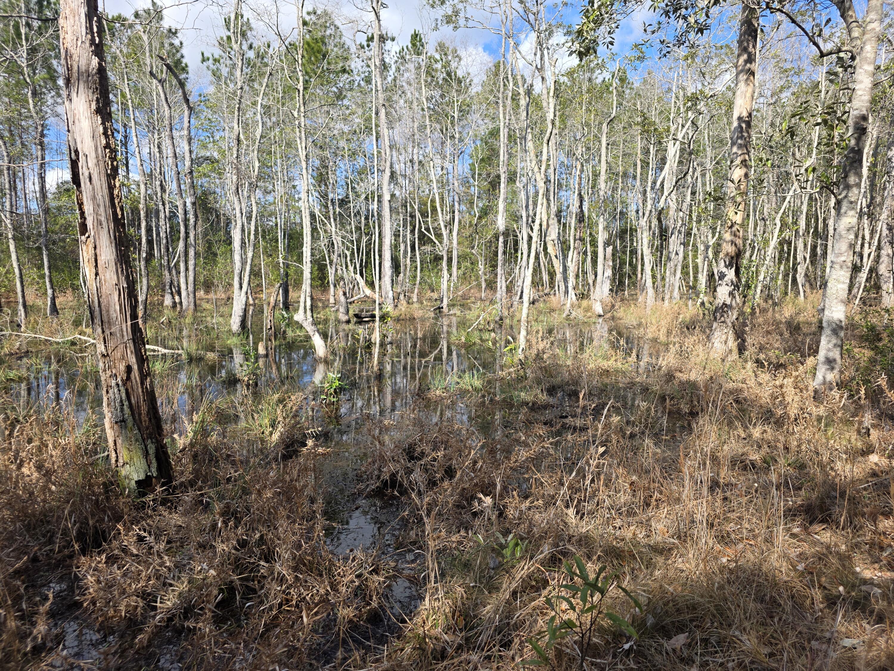 METES & BOUNDS - Farm