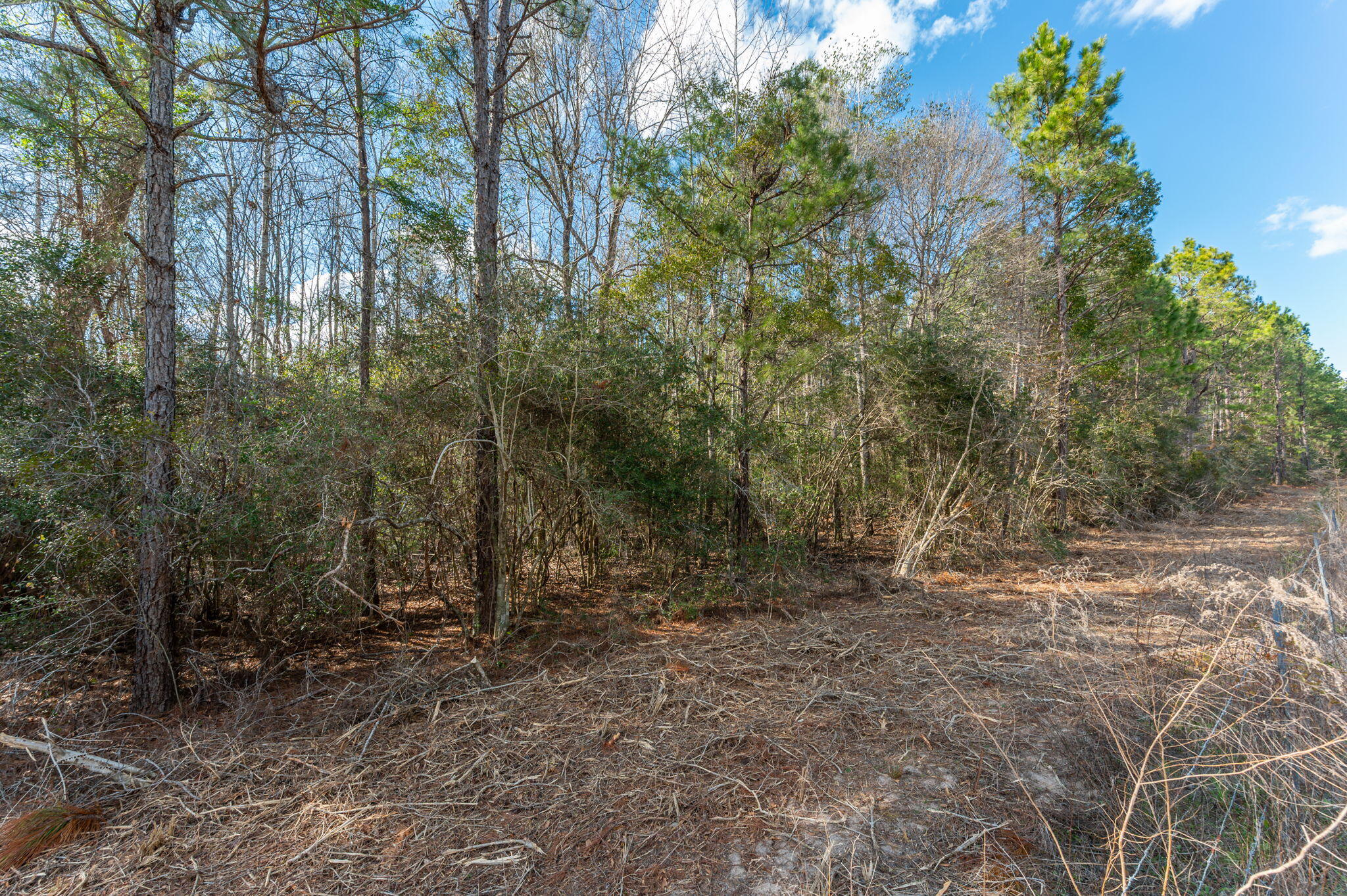 METES & BOUNDS - Farm