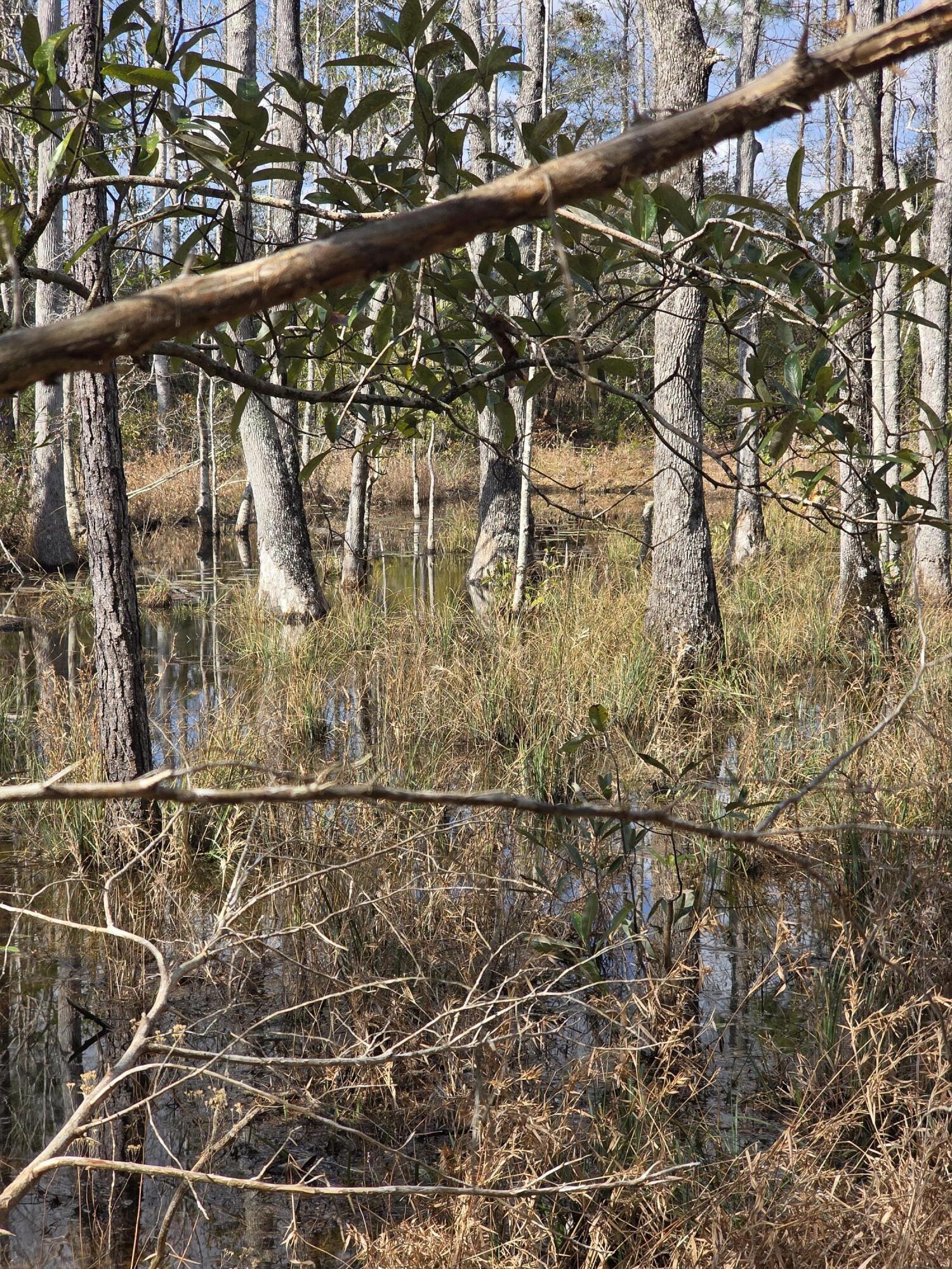 METES & BOUNDS - Farm