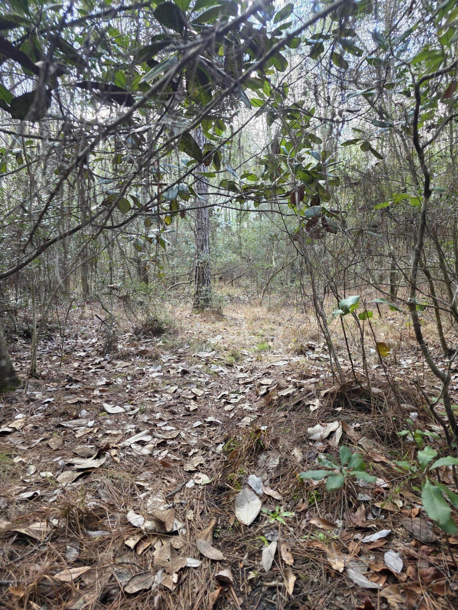 METES & BOUNDS - Farm