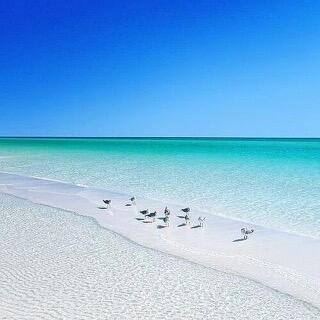 Point of View - Residential