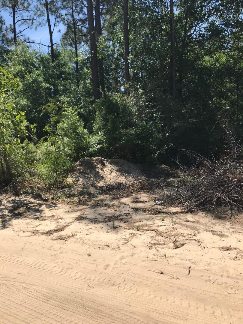 Triple Lake Estates - Land