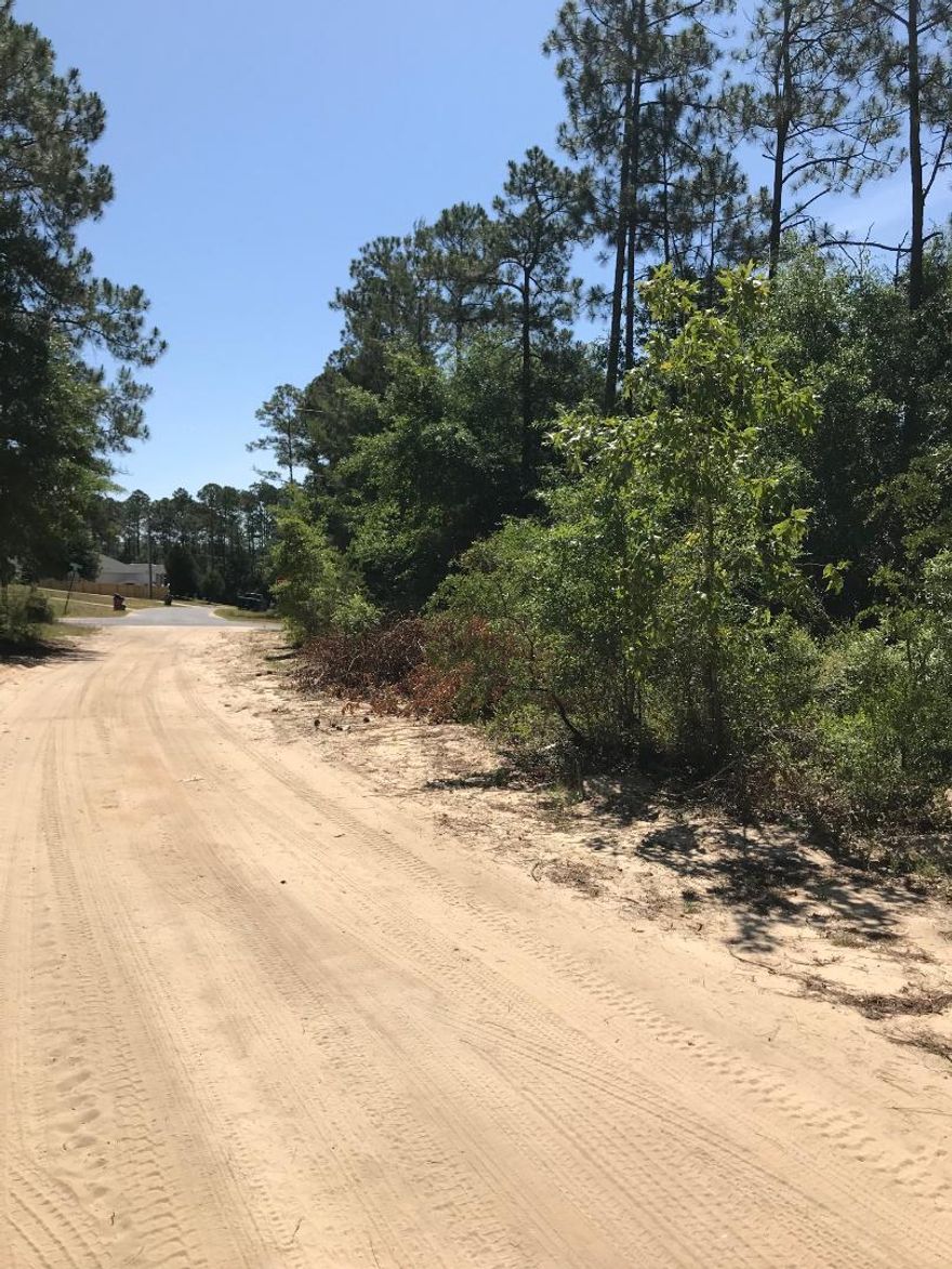 Almost 1/4 acre wood lot in growing subdivision near Okaloosa and Walton County line.
