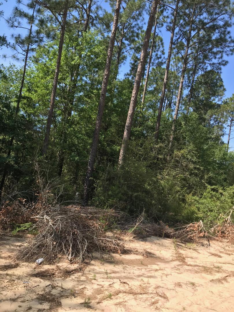 Triple Lake Estates - Land