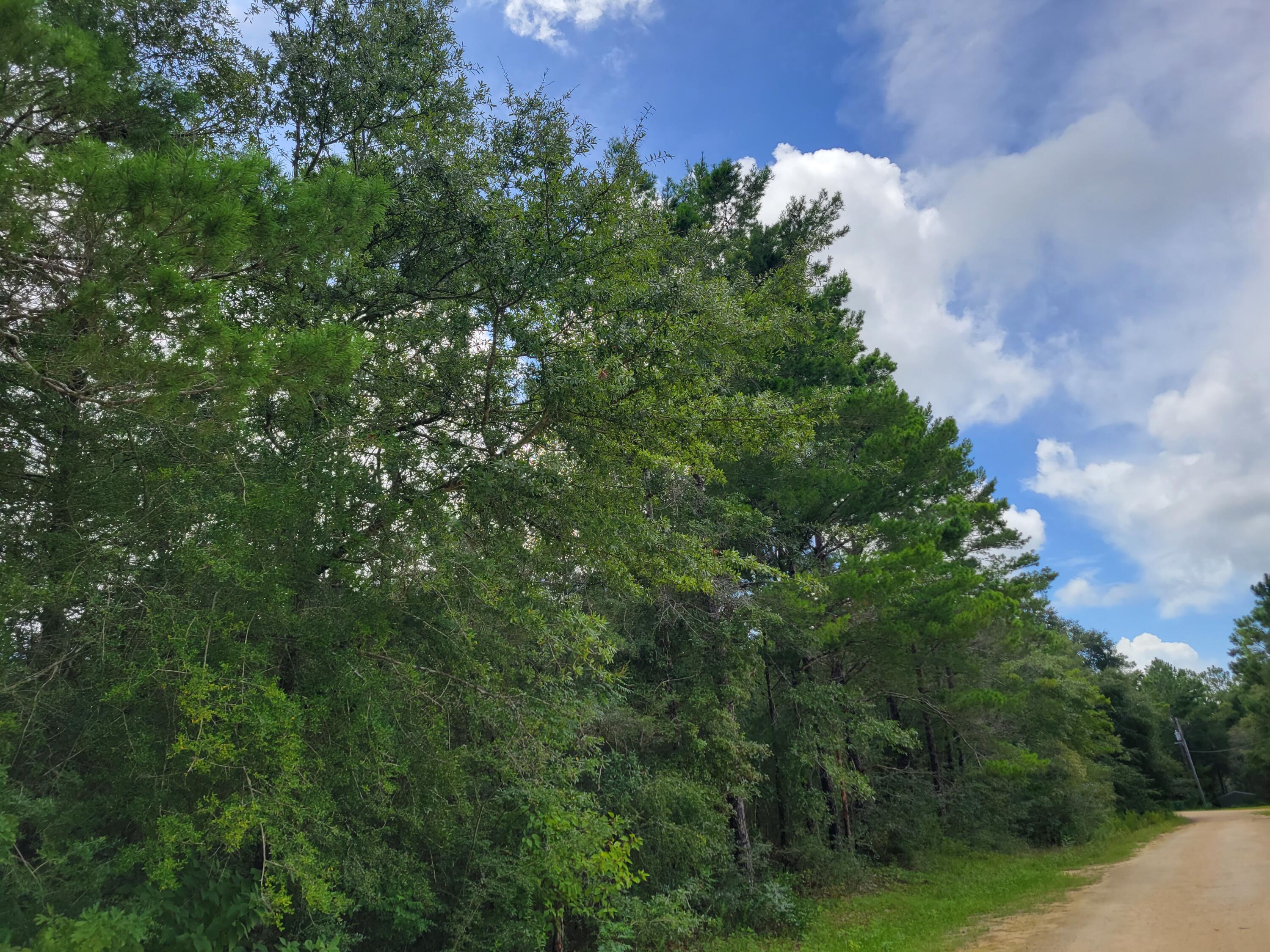 OAKWOOD HILLS UNIT 3 - Land