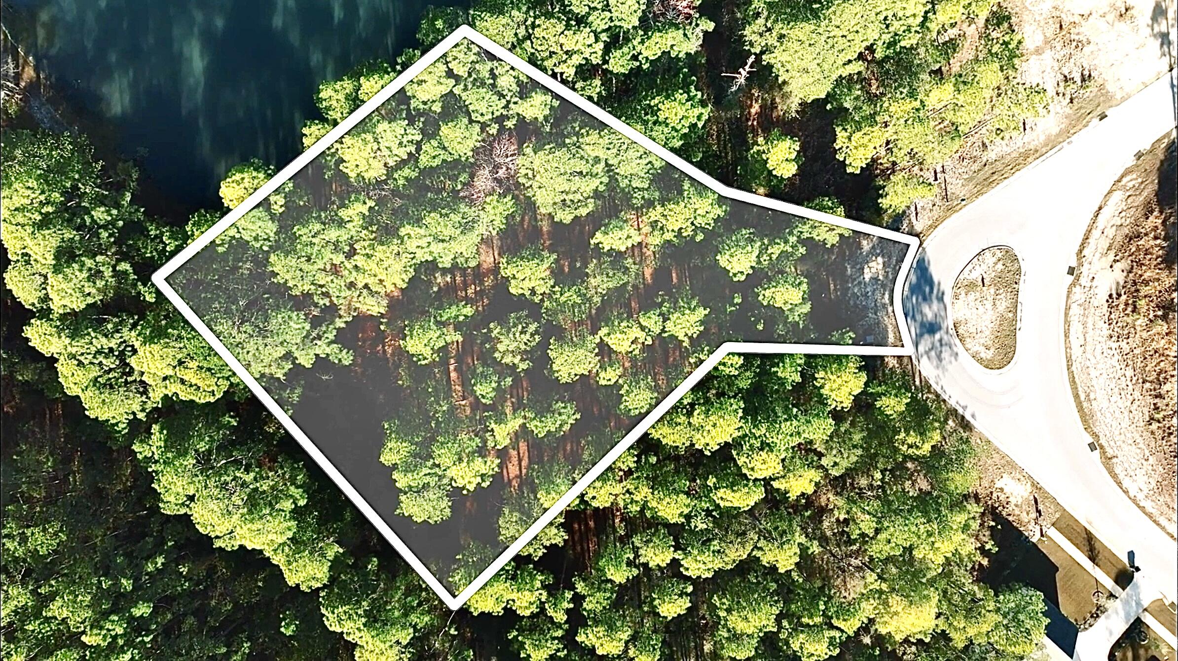 STEAMBOAT LANDING AT HAMMOCK BAY - Land