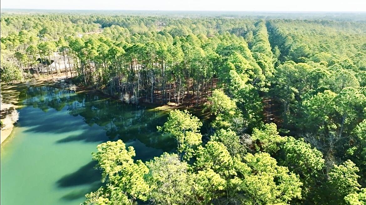 STEAMBOAT LANDING AT HAMMOCK BAY - Land