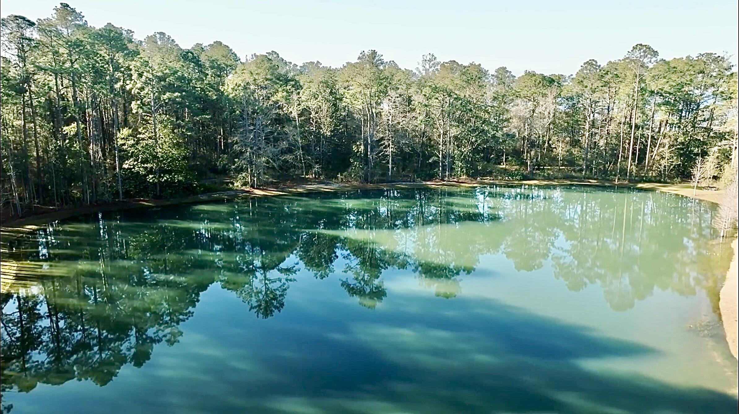 STEAMBOAT LANDING AT HAMMOCK BAY - Land