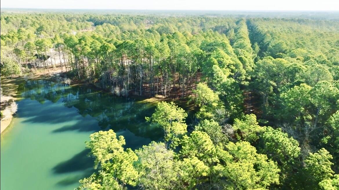 STEAMBOAT LANDING AT HAMMOCK BAY - Land