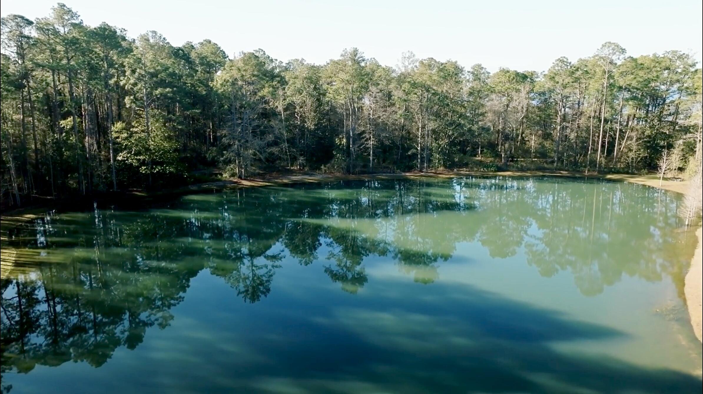 STEAMBOAT LANDING AT HAMMOCK BAY - Land