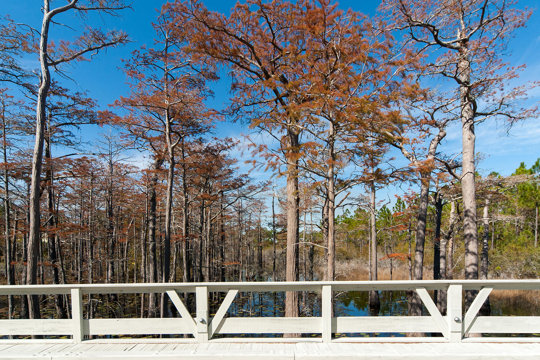 CYPRESS DUNES - Land