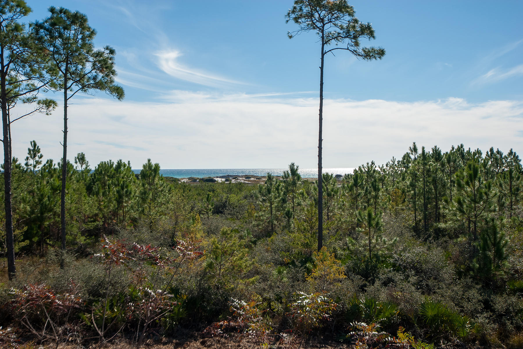 CYPRESS DUNES - Land