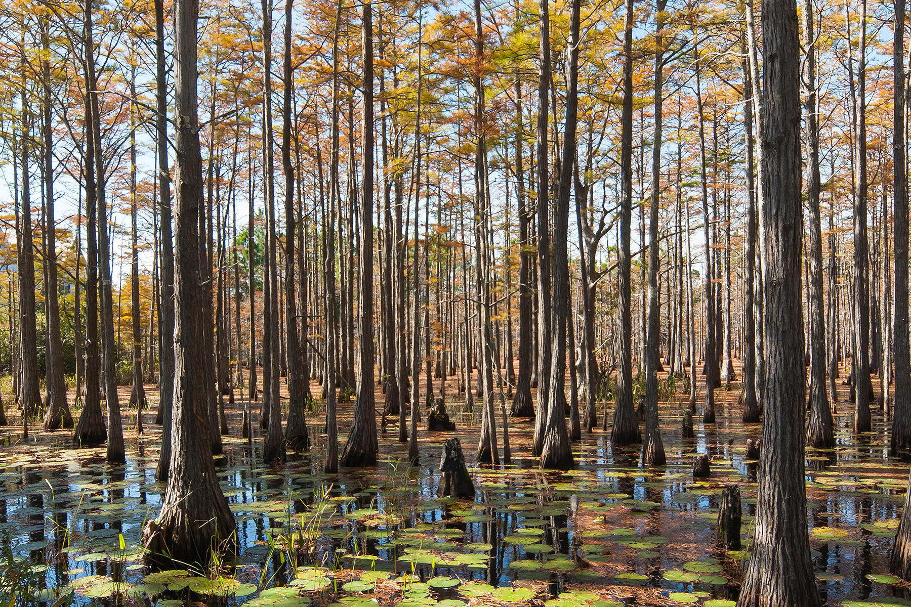 CYPRESS DUNES - Land