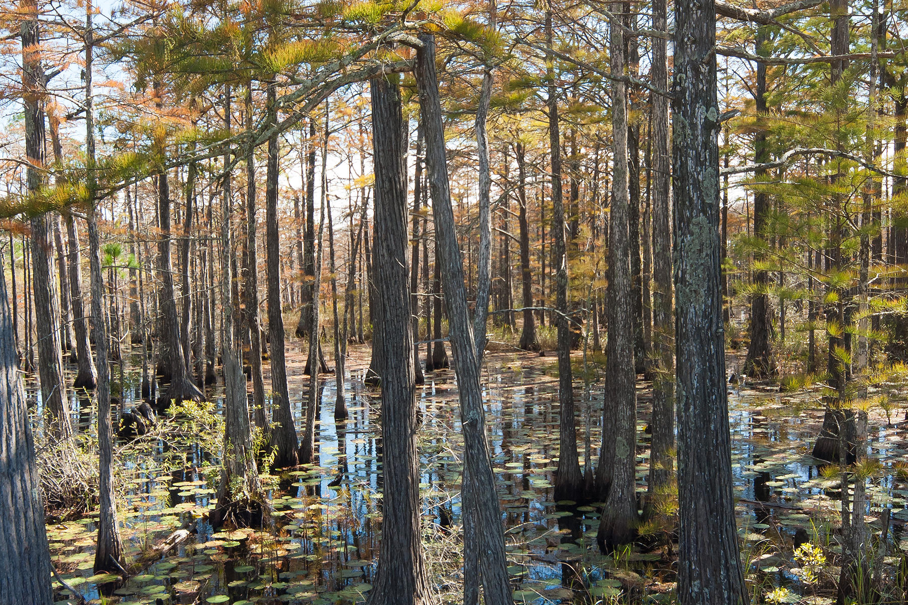 CYPRESS DUNES - Land
