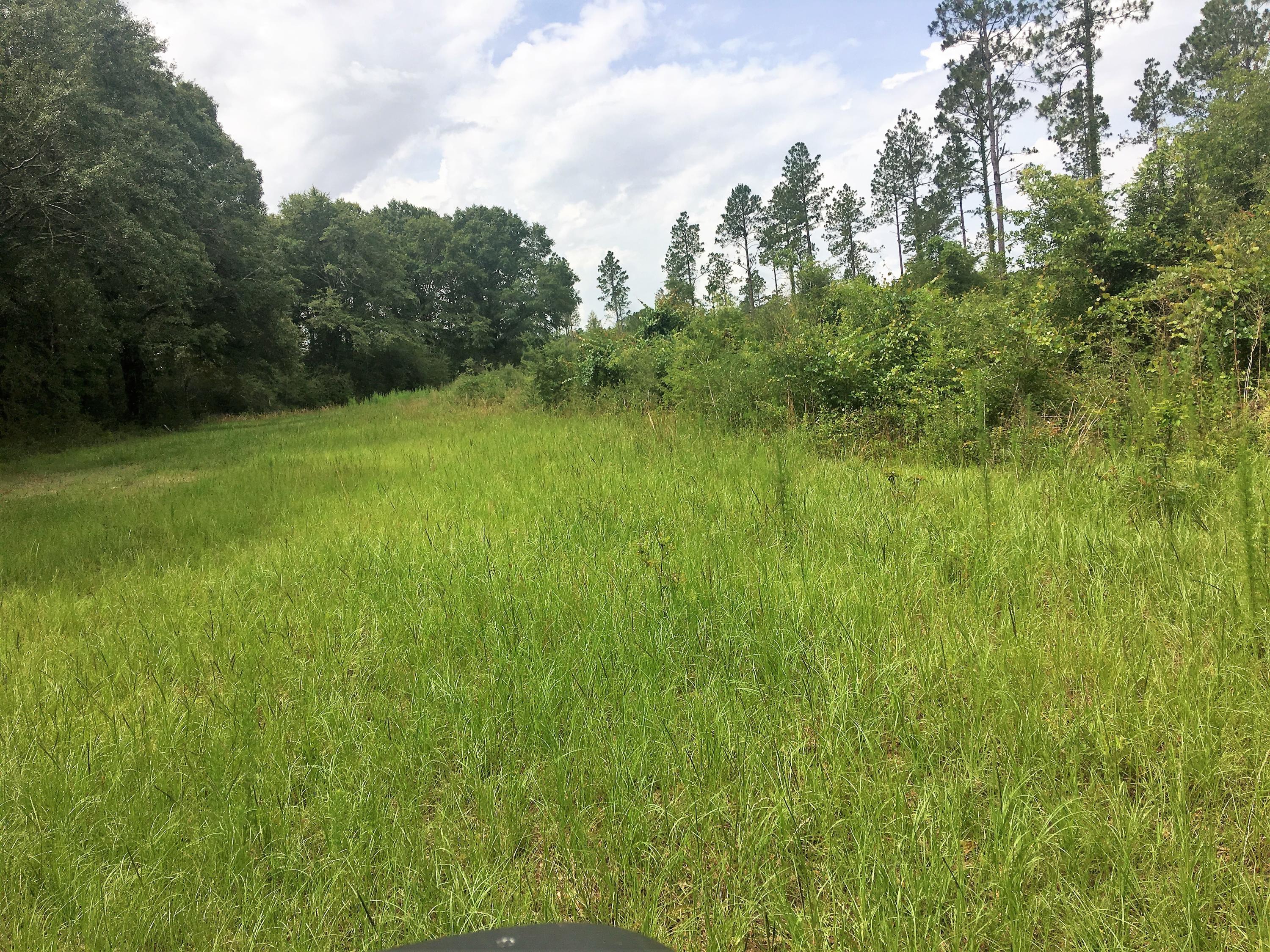 This is your opportunity to own a 520 acre property which has been in the same family for several generations. You can not even begin to imagine how beautiful it is to drive or walk through this property with deer, turkey and just about any other wildlife native to NW FL. Turkey Creek runs most of the eastern boundary and there is another creek that runs through the property as well. Please call with any questions or to set up a time to view this property. Property includes 2 adjoining parcels and are being offered together.