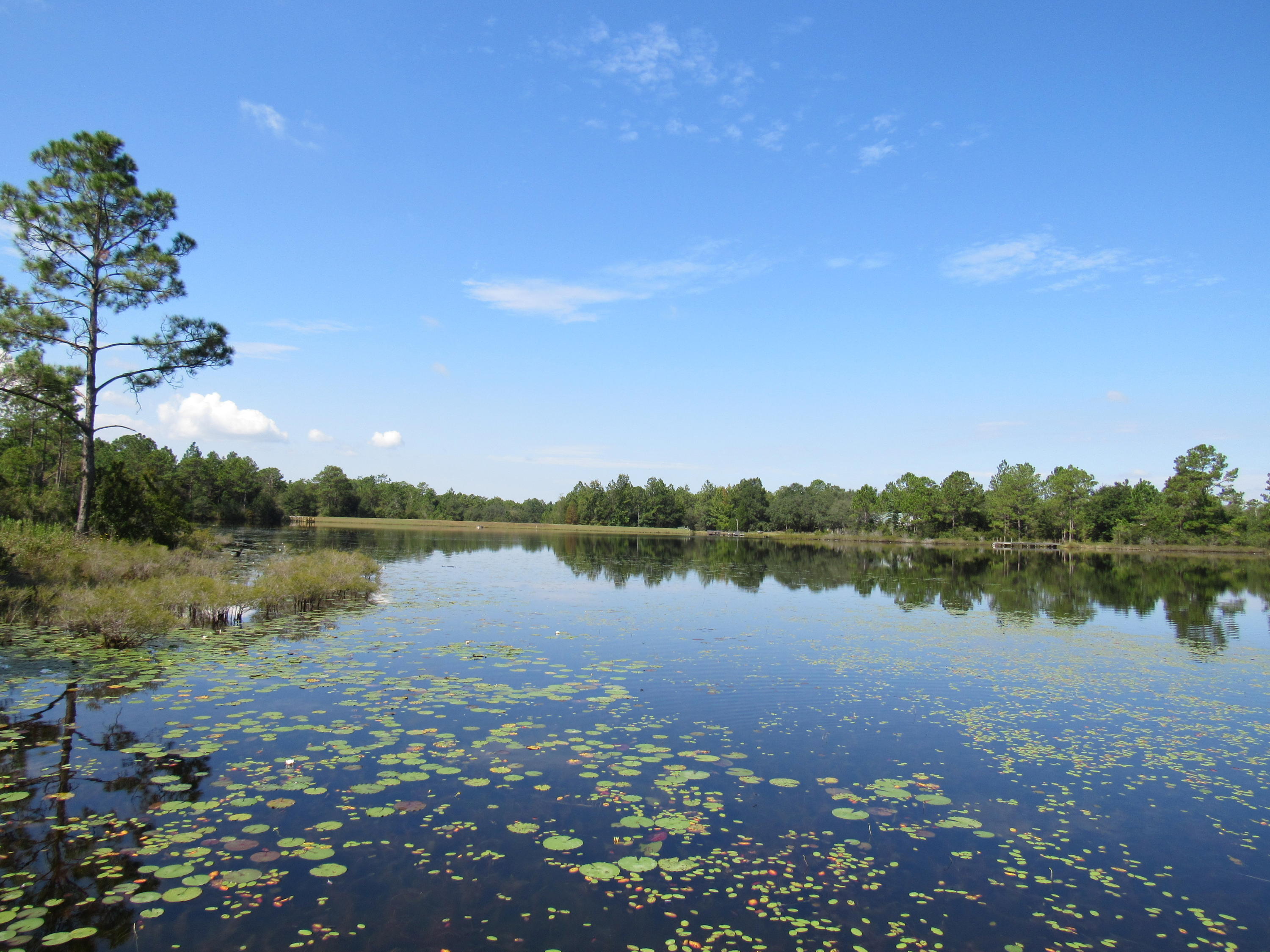 Beautiful waterfront lot on Imperial Lake! Great fishing on the large lake in the chain of lakes that make up ''Imperial Lakes''! Located on a paved, county maintained road. It is only a short drive to historic DeFuniak Springs, recently voted the Best Small Town in Florida by msn.com.
