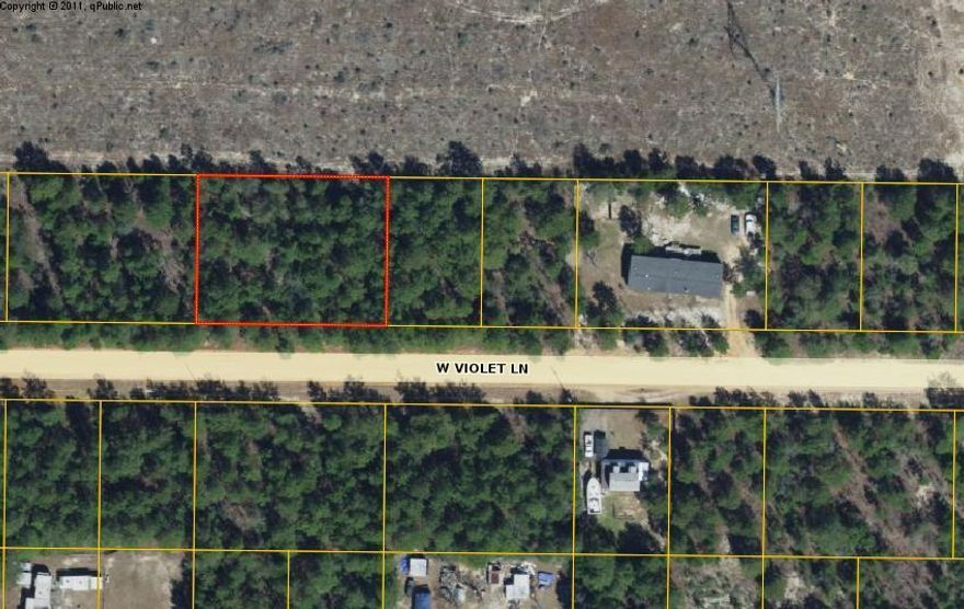 This beautiful wooded lot is located on West Violet Lane, in the Oakwood HIlls subdivision in Mossy Head Florida. This lot is .459 acres.