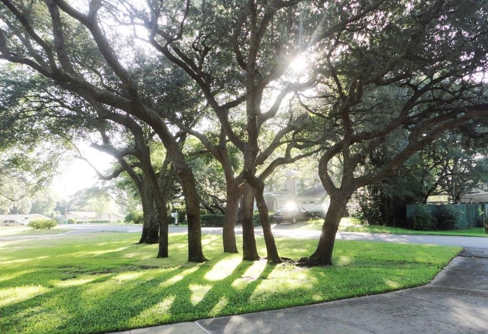 LORRAINE ESTATES - Residential