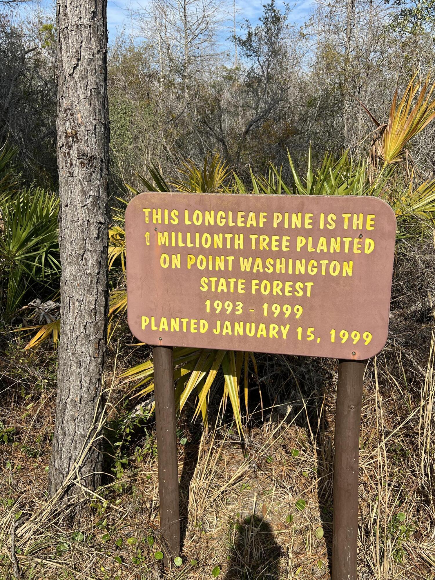 The Shoal - Residential