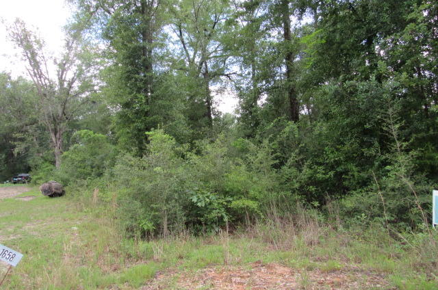 5.14 acre wooded parcel in quiet country setting will make a good home site. Parcel has already been surveyed and has driveway culvert installed, as well as 911 address. Land was partially cleared years ago but has grown back up with underbrush. This parcel is located about 8 miles north of Ponce de leon schools, in Holmes county. Electric, private well, and septic, will be needed. Make this parcel your home place!