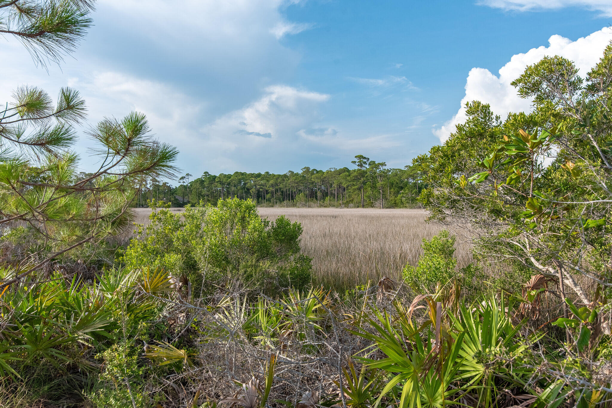 MARSH HARBOR - Residential