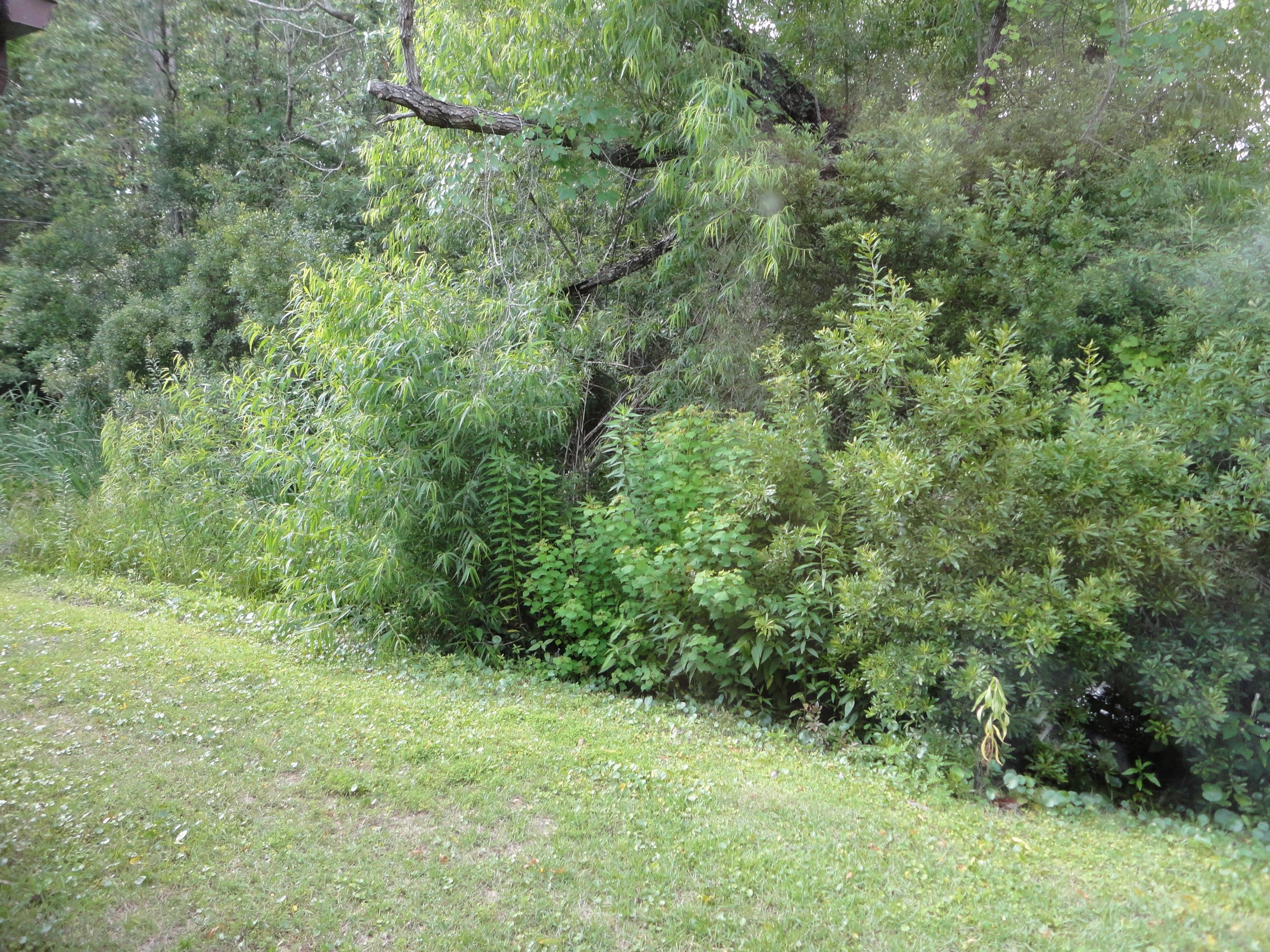 HIDDEN COVE PH 2 - Residential