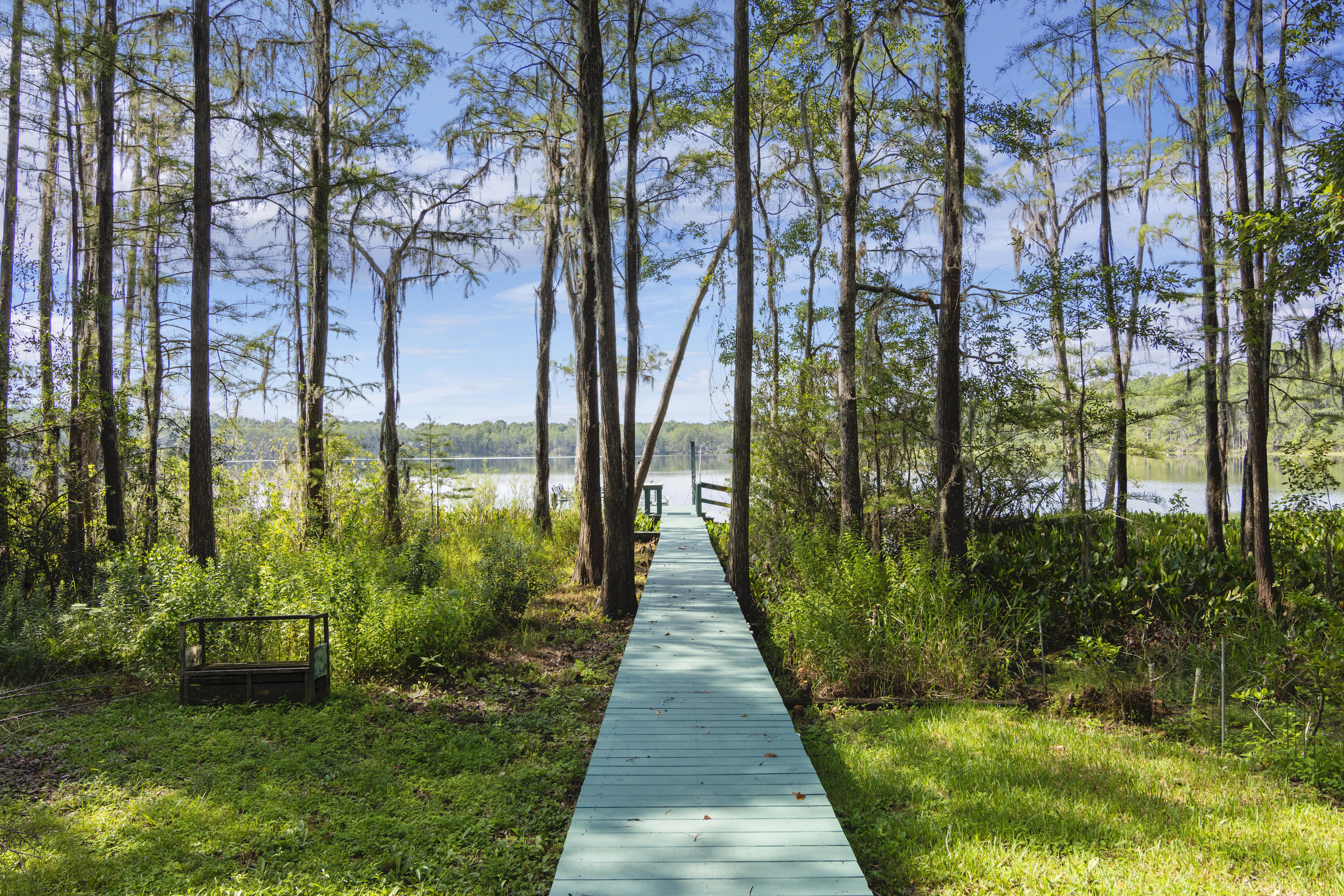 BLUE CYPRESS - Residential
