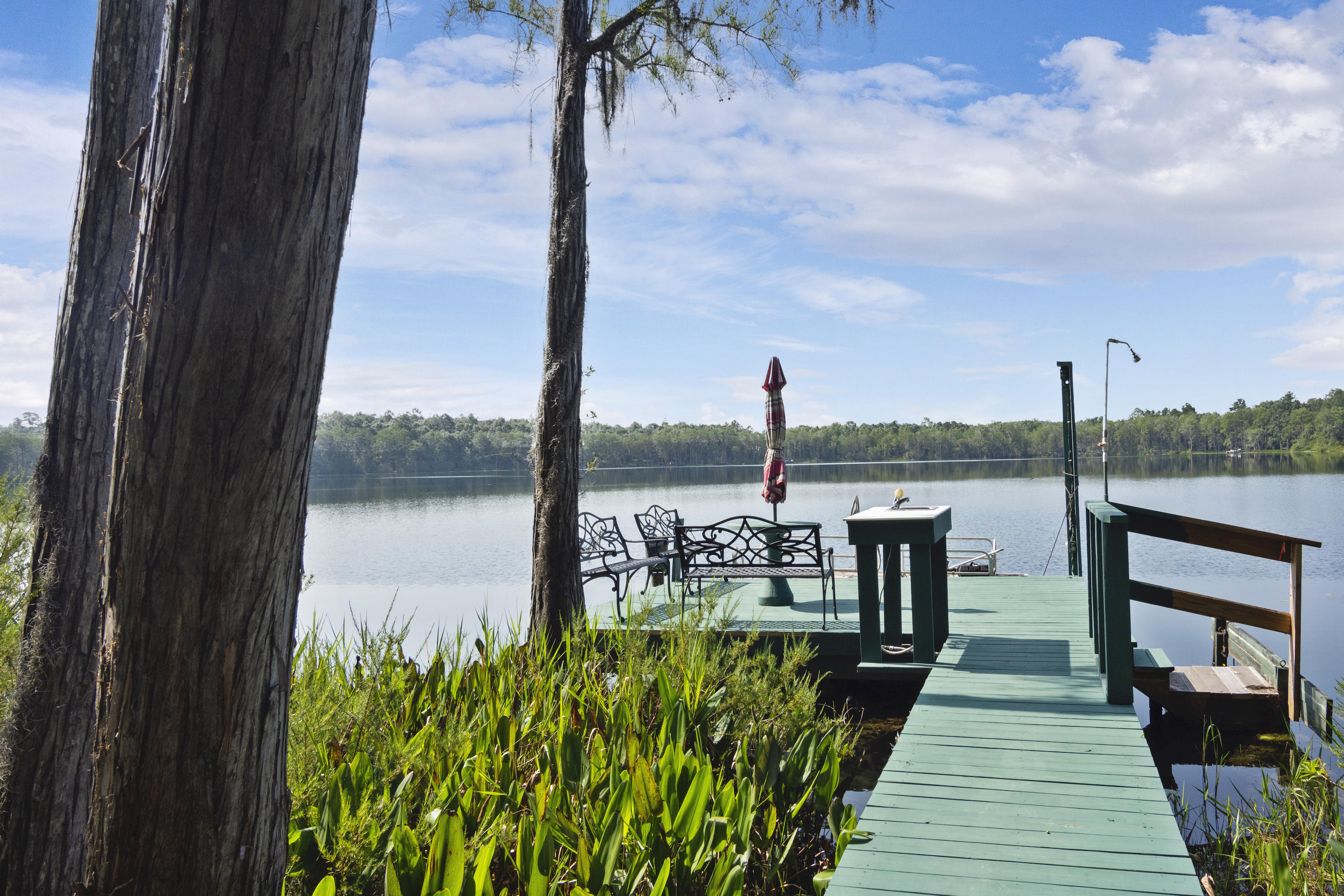 BLUE CYPRESS - Residential