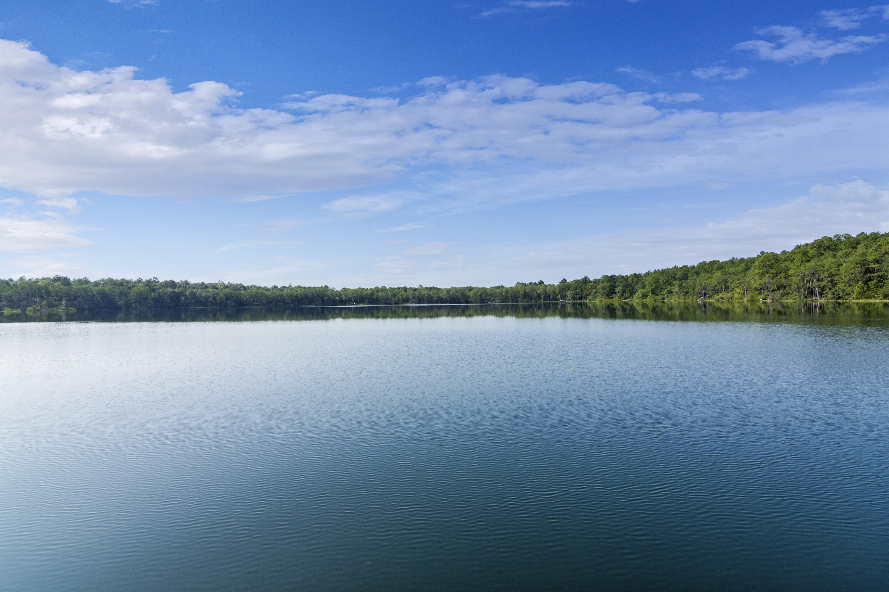 BLUE CYPRESS - Residential