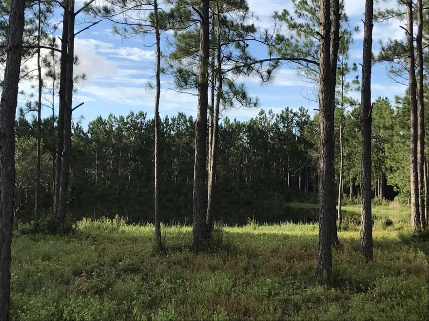 This Gorgeous Lake Front Home Site Is Just Waiting On YOU! Have You Been Looking For The Perfect Property To Build Your Dream House? THIS IS IT! Conveniently Located In Santa Rosa Beach, This Lake Front Lot Is Situated On The Corner Of LaCanosa Blvd. & Santa Barbara Ave With No HOA! With 0.82 Acres The Building Potential Is Endless. Just Minutes Away From The Finest Shopping, Dining & Entertainment That South Walton & 30a Have To Offer! Call Today For More Information On How You Can Make This Property Your Dream Home Locale!