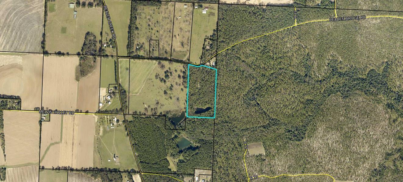 Surrounded by serene and beautiful pastures and large parcels, this 16+ acre property is one to see. Property has a large pond at most southern portion of the property and is mostly wooded. There is a small trail that leads from the paved rd to the rear of the property. This property is perfect for future pasture use, horses, cattle, hunting, new private home site and more. A definite must see.