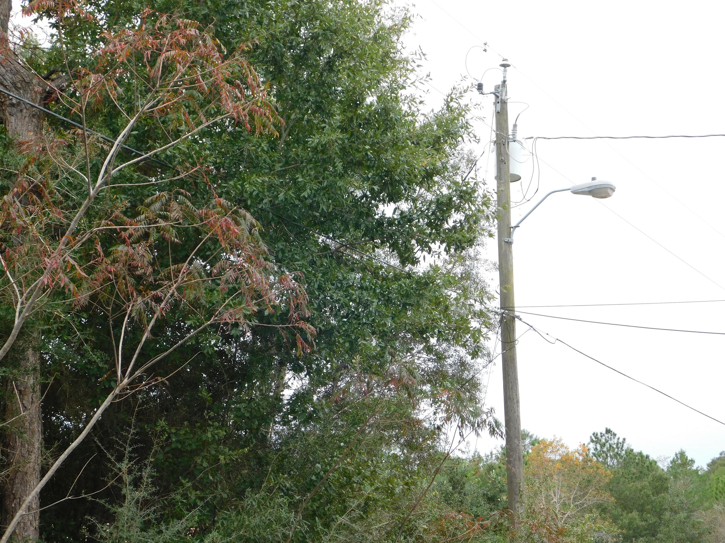 COUNTRYVIEW EST 3RD ADD - Land