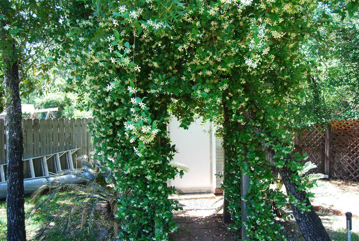 CARIBBEAN EAST UNIT 3 - Residential