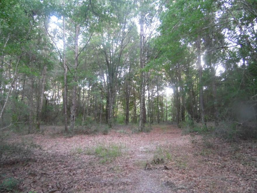Don't miss out on this beautiful peace of properties. 38 acres with mature hard woods and pines threw out. There is an area cleared that would make a great site to build your dream home. Call to schedule your viewing today.