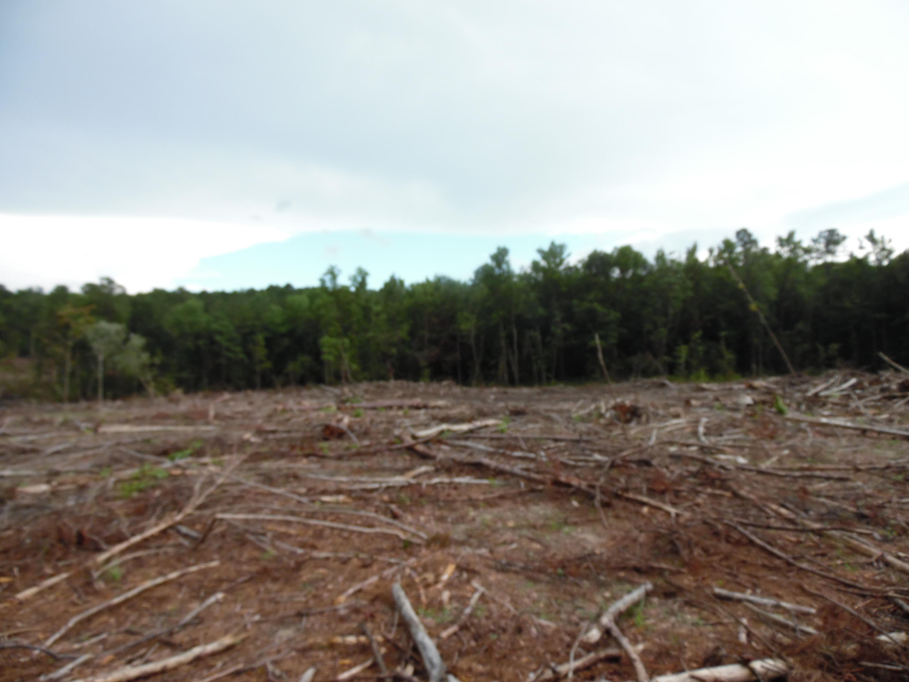 metes and bounds - Farm