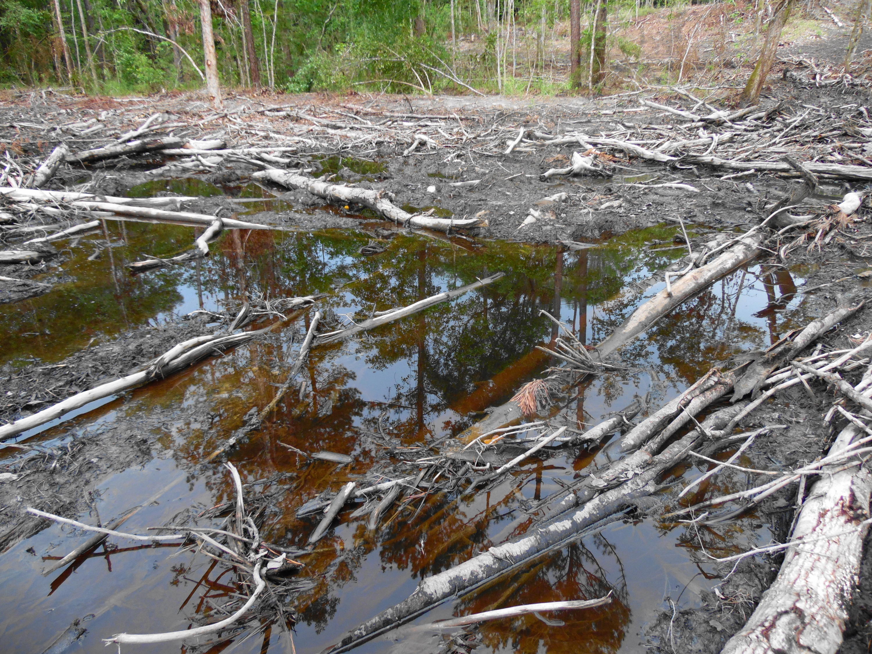 metes and bounds - Farm