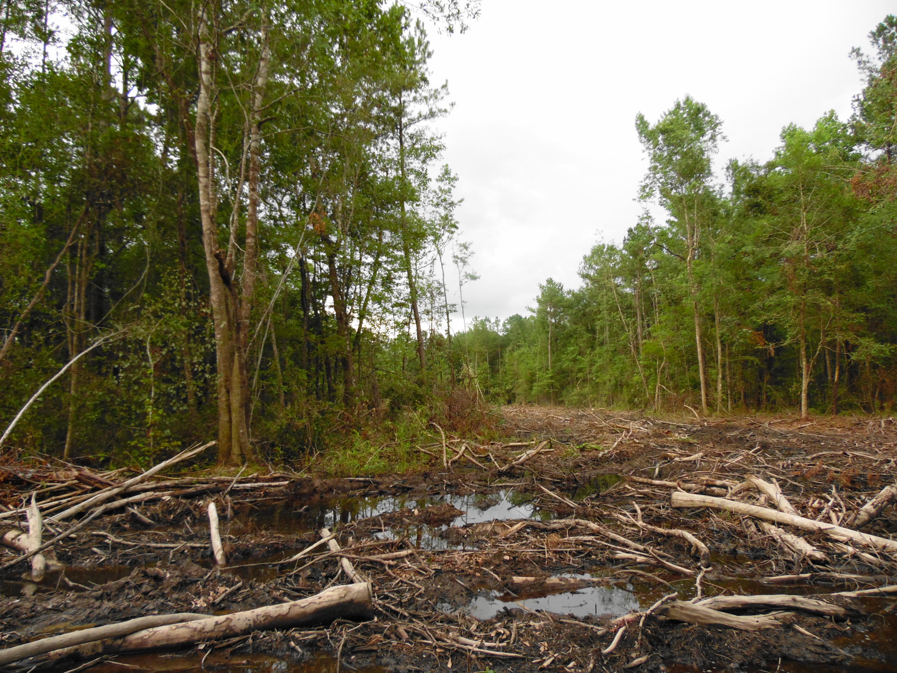 metes and bounds - Farm