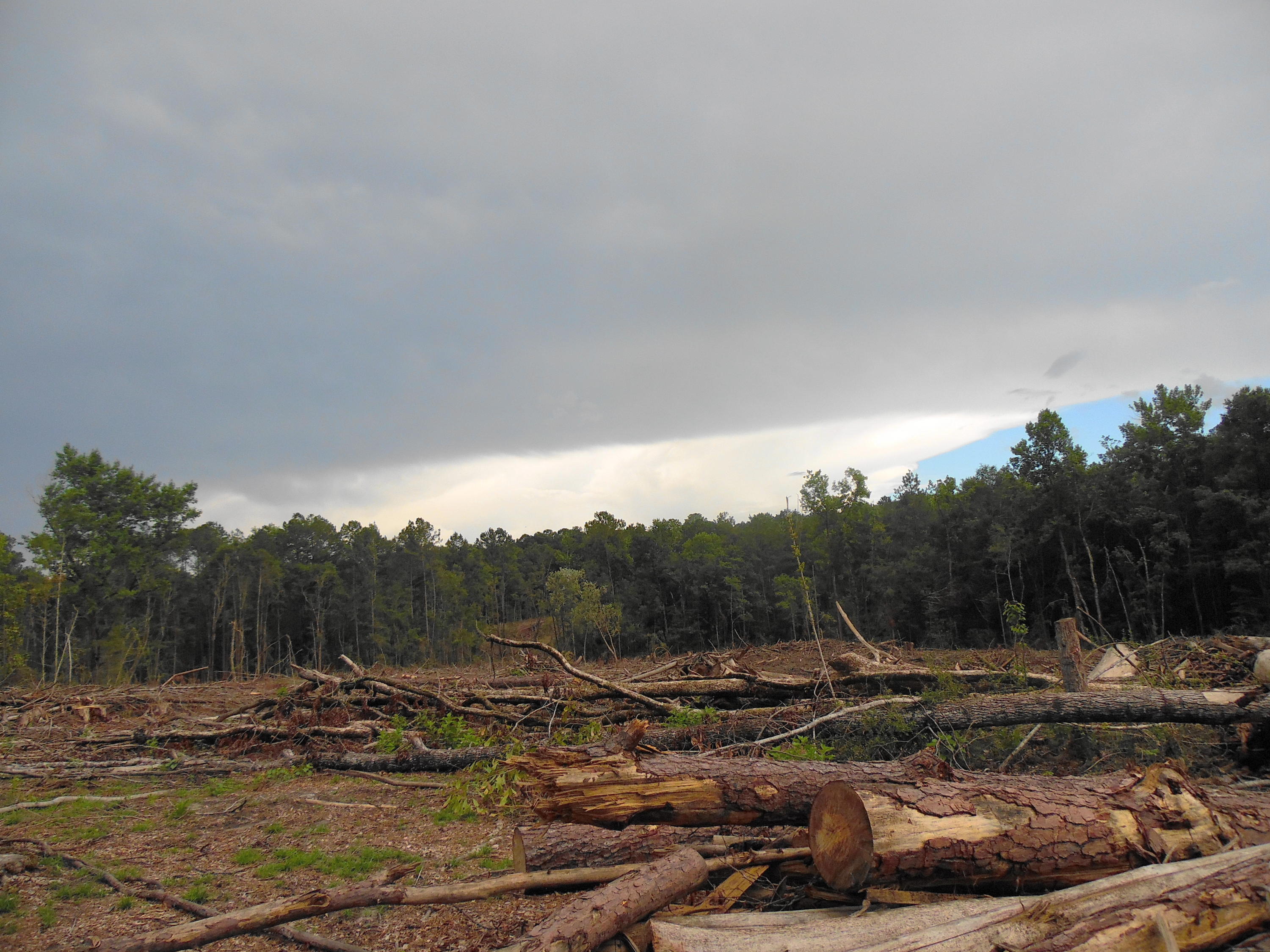 metes and bounds - Farm