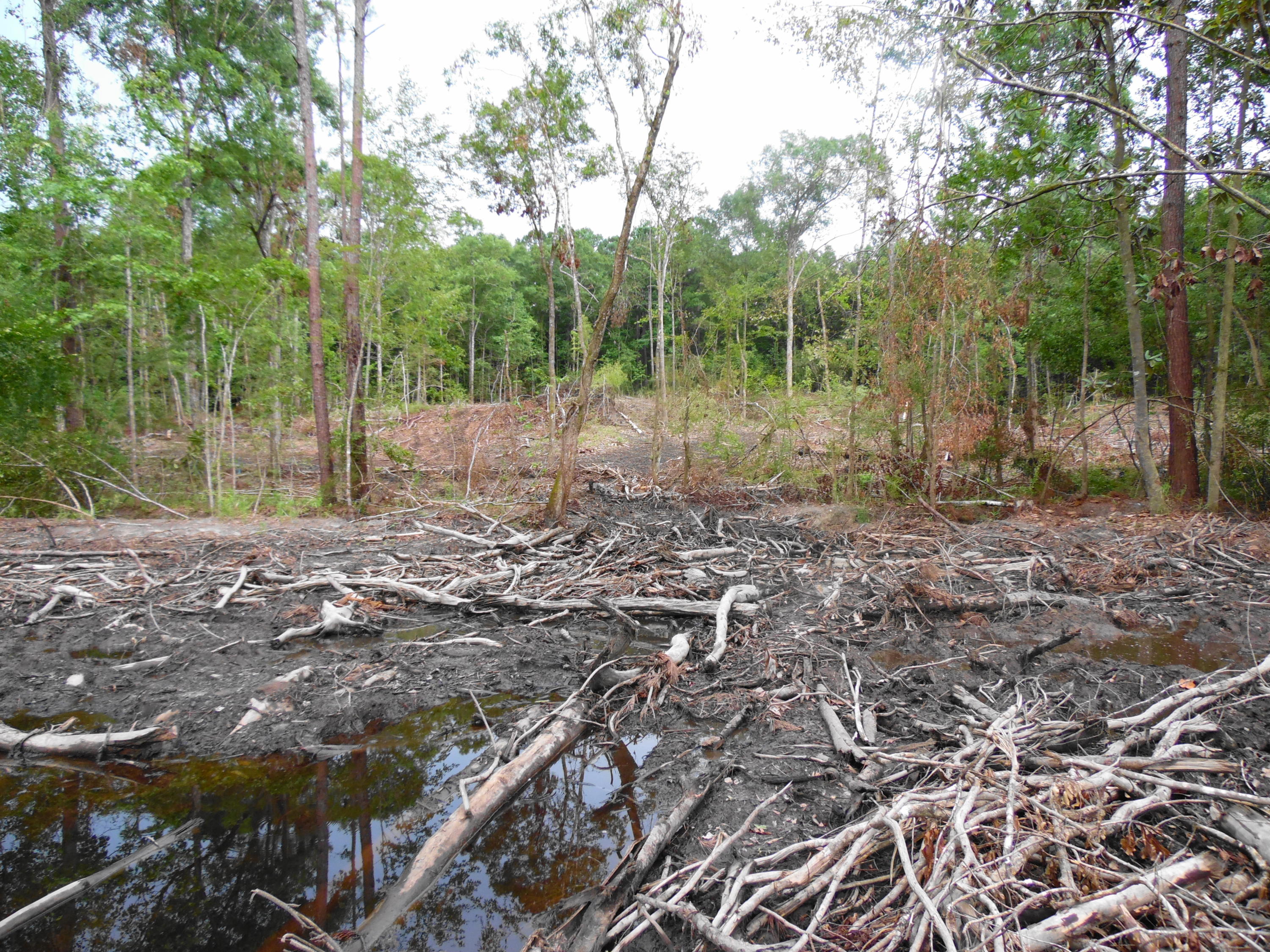 metes and bounds - Farm