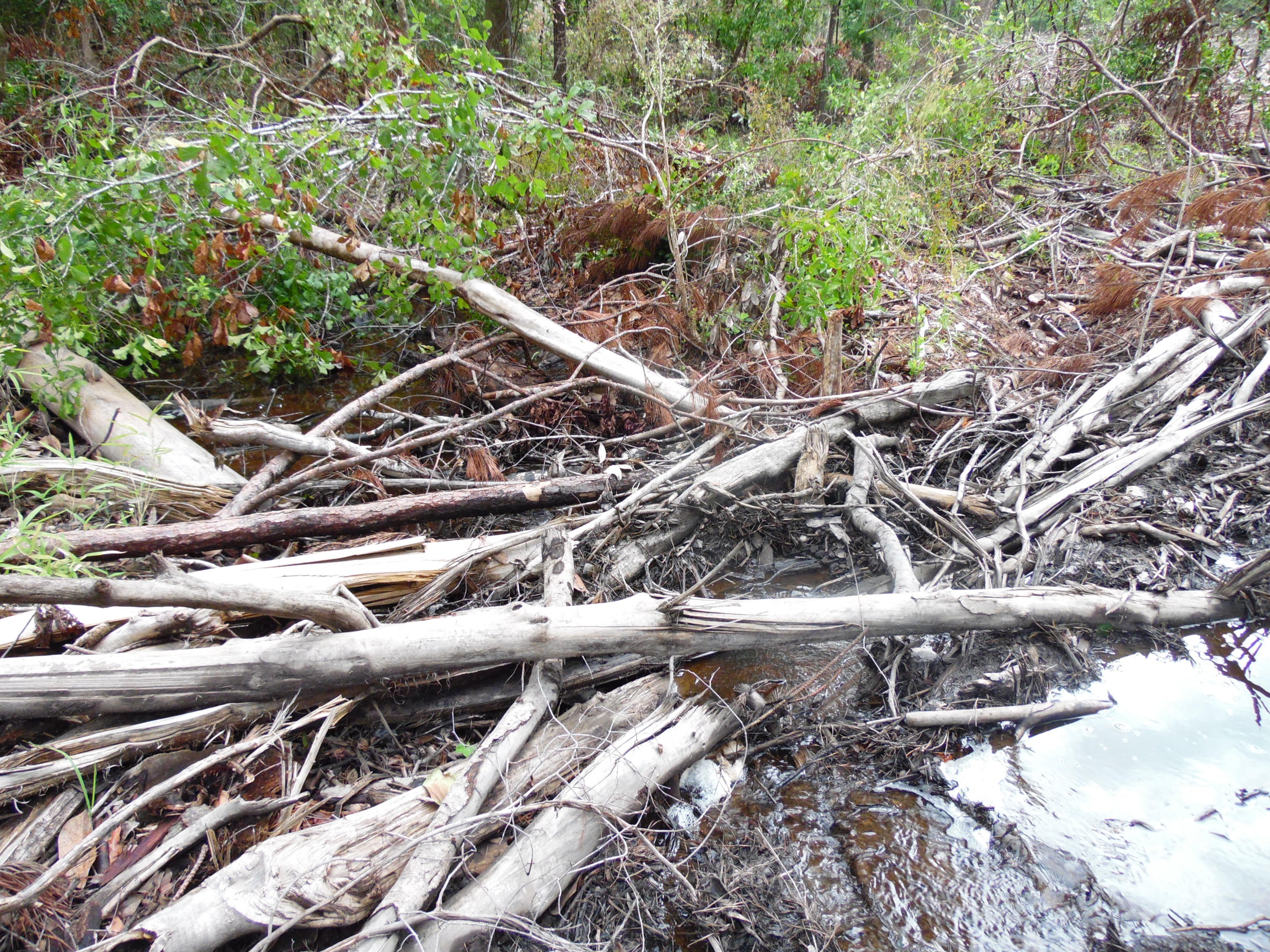 metes and bounds - Farm