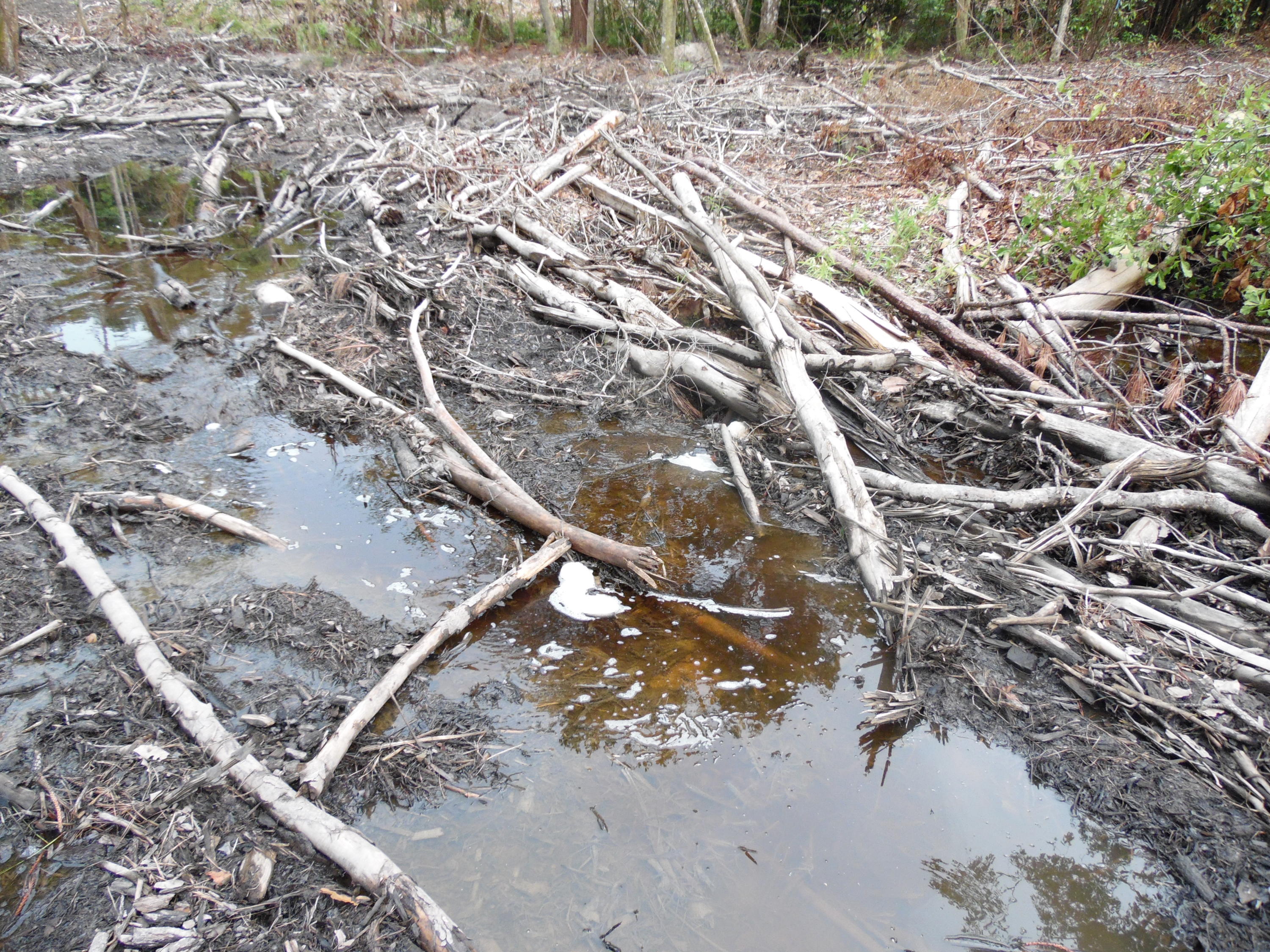 metes and bounds - Farm