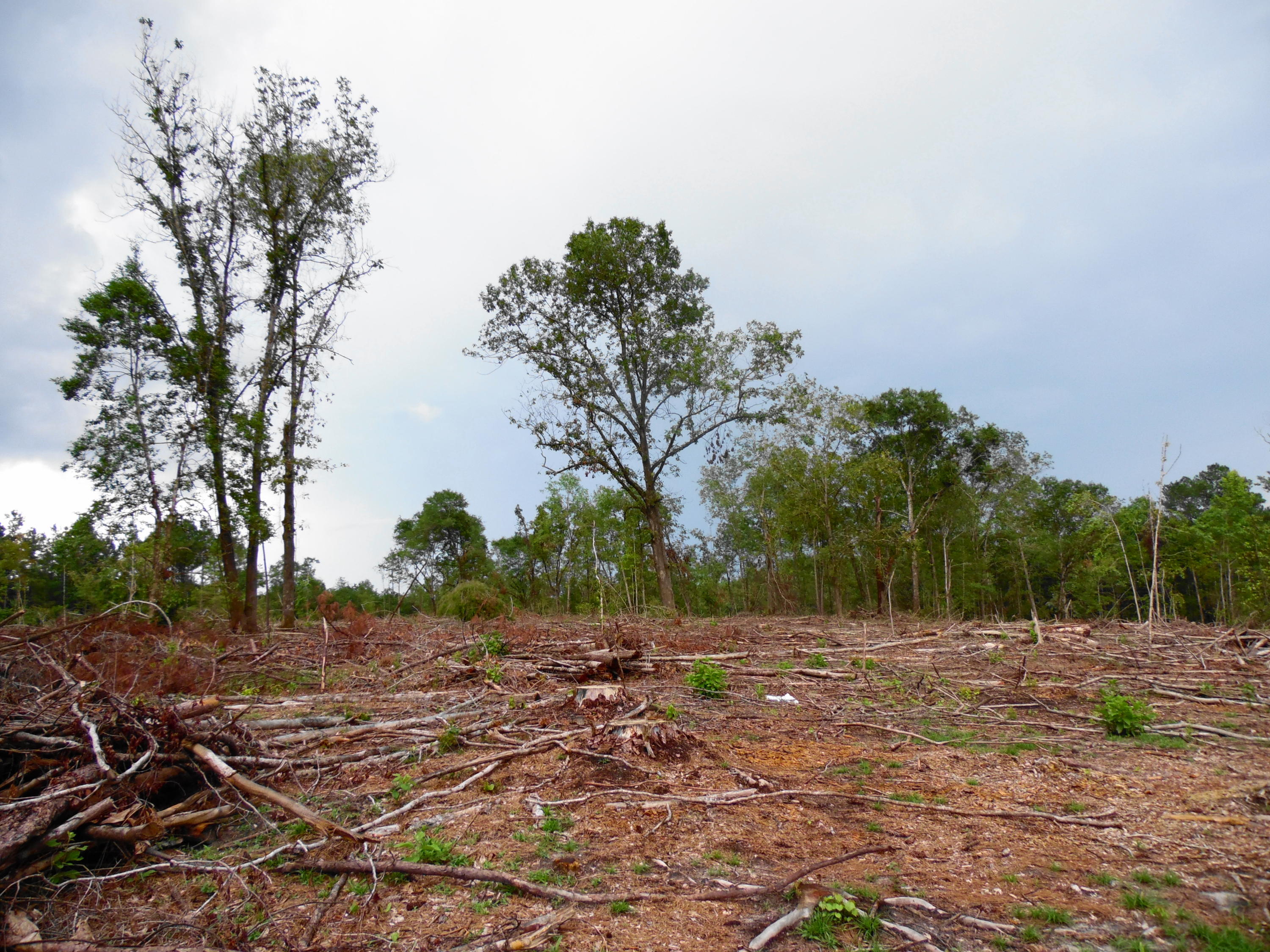 metes and bounds - Farm