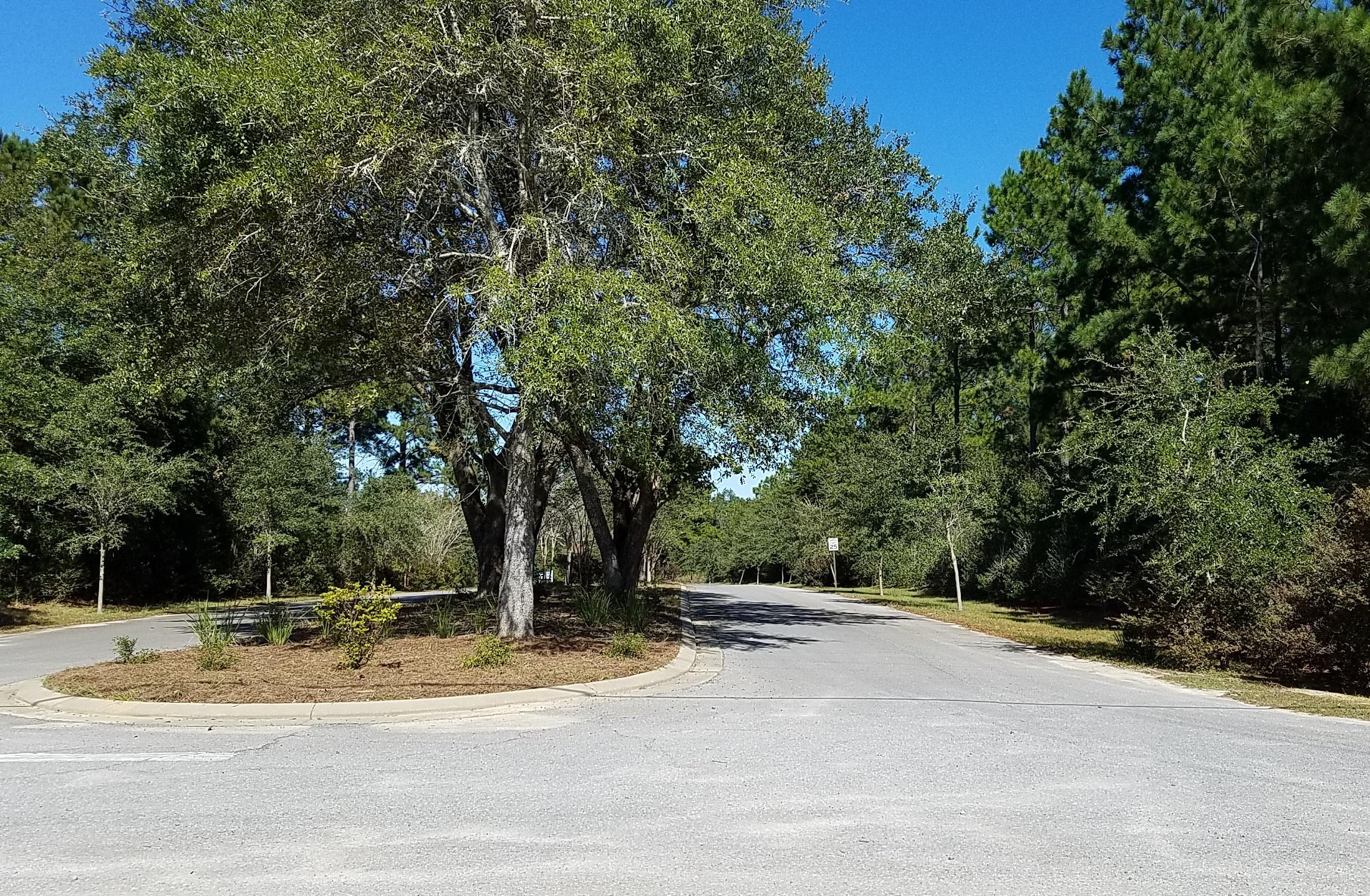 HIGHLY MOTIVATED SELLER - MAKE OFFER - Half Acre Lot For Sale - Majestic Oaks Vineyard is located far enough north to enjoy the quiet and serenity of the countryside yet only a few miles from the essentials of your family's daily activities such as schools, banking, shopping, grocery store, and movie theatre. Give us a call for more details.