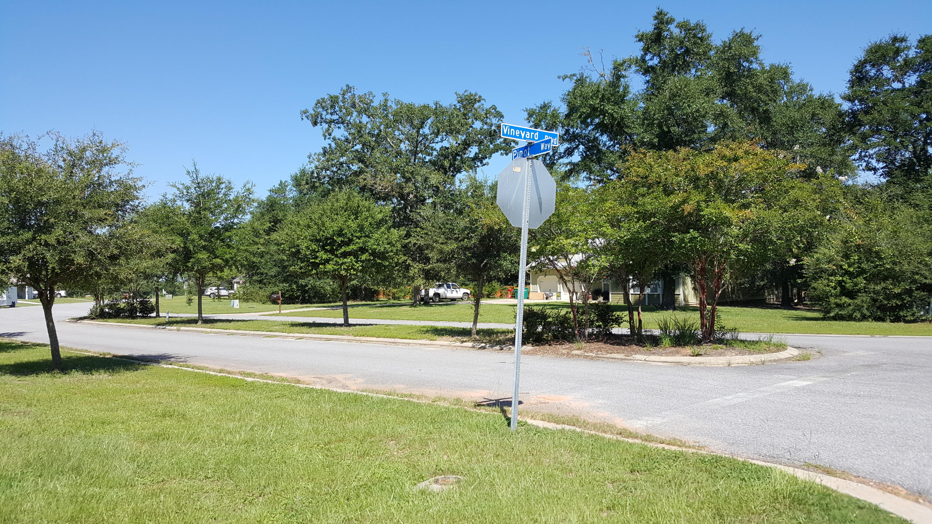 MAJESTIC OAKS VINEYARD - Land