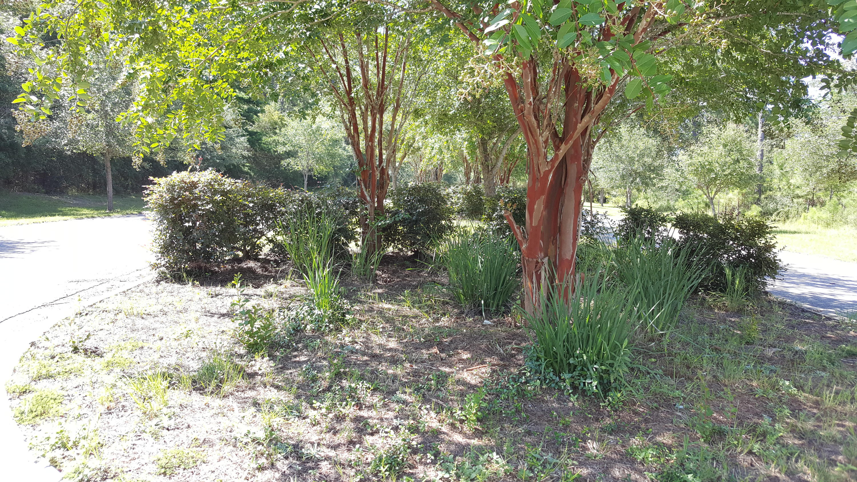 MAJESTIC OAKS VINEYARD - Land