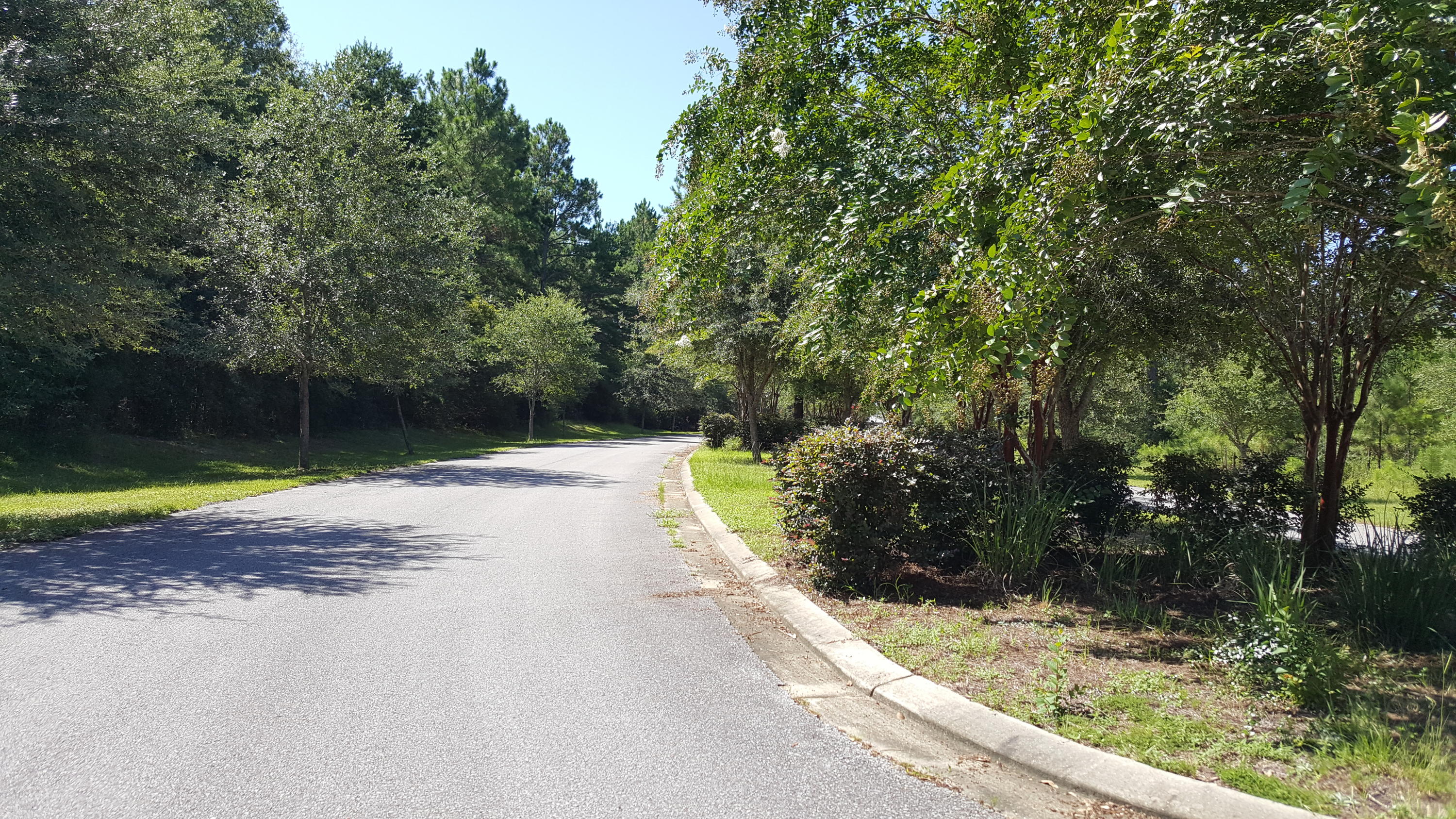 MAJESTIC OAKS VINEYARD - Land