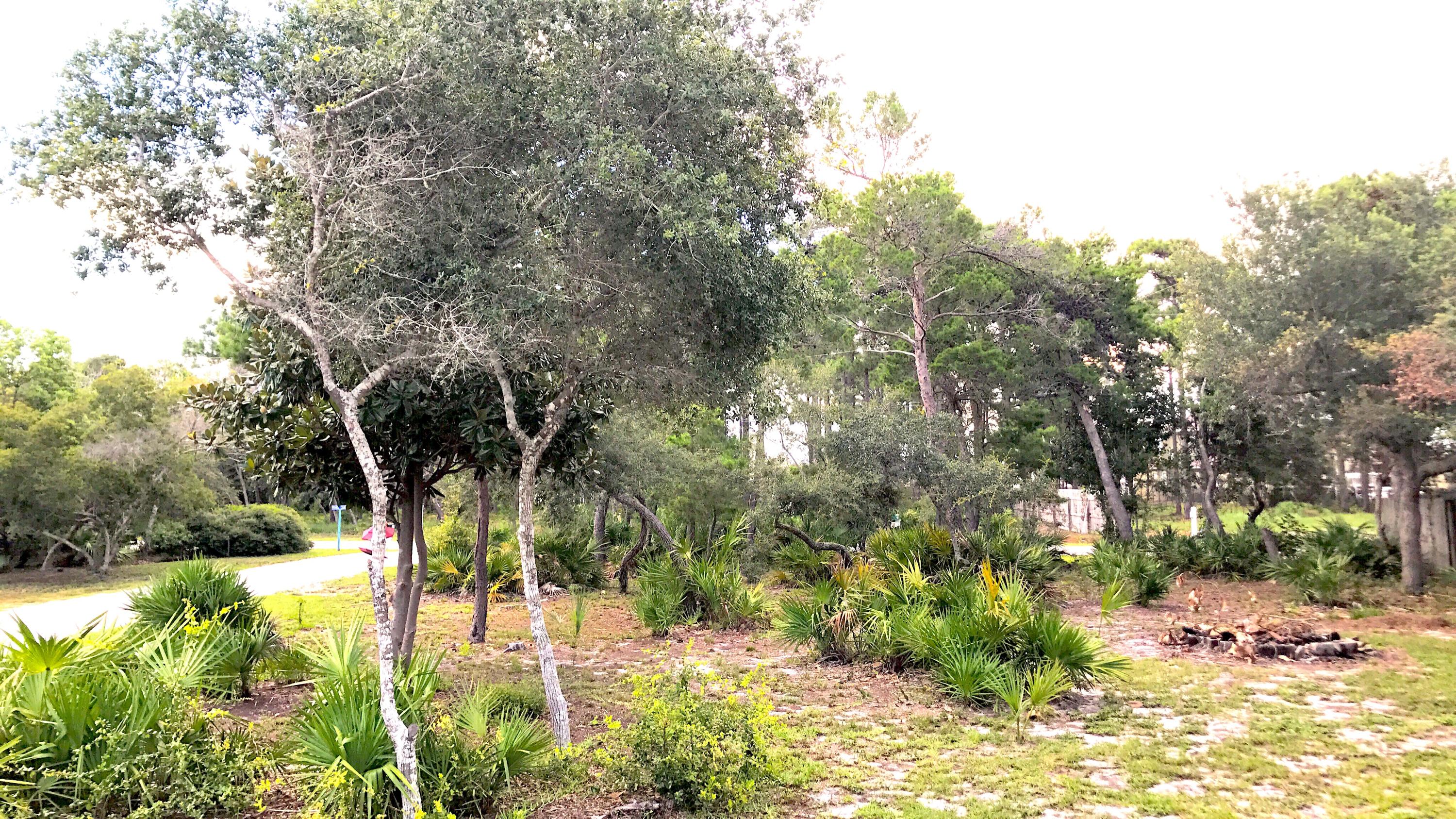 WHISPERING OAKS - Residential