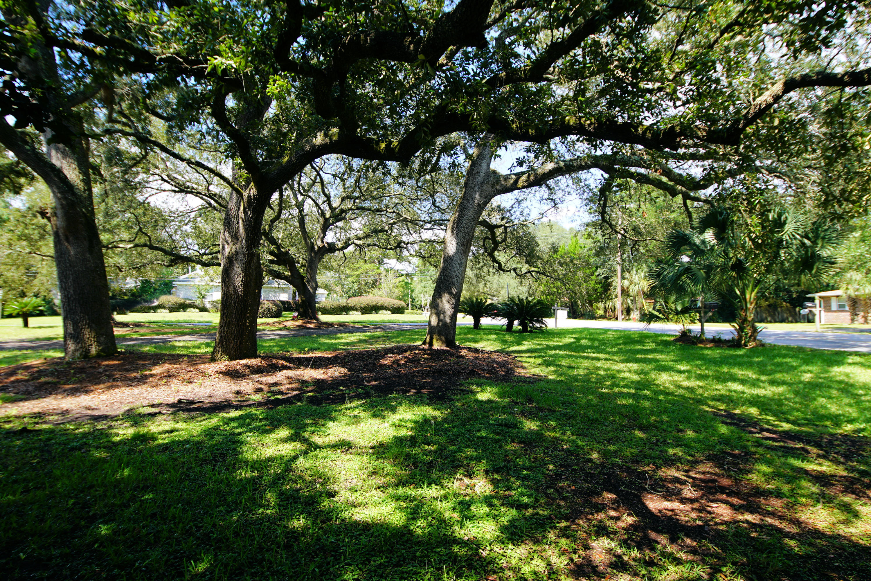 LONGWOOD S/D - Residential